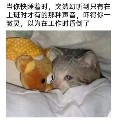 这是一张图文结合的静态梗图，上方配文描述了社畜群体的真实疲惫经历：在即将入睡时，突然幻听到上班时的标志性声音，瞬间受惊，甚至误以为自己是在工作时昏倒了。图中是一只半睁着眼睛、眼神带着疲惫与惊魂未定的小猫，依偎着轻松熊玩偶，裹在被子里，这副状态完美契合配文里那种被工作阴影笼罩，连休息时刻都不得安宁的情绪，精准戳中了被工作压力裹挟的社畜群体的共鸣点，用来抒发被工作支配的无奈与焦虑。