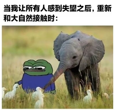 图片上方配有文字“当我让所有人感到失望之后，重新和大自然接触时：”，下方主体画面为一只卡通形象的悲伤青蛙（Pepe the Frog）站在黄绿色的草地上，其身旁有一头真实的小象正用鼻子轻轻触碰青蛙的肩膀，周围还有几只白鹭点缀。整体场景通过卡通与真实动物的结合，营造出在经历挫折后从大自然中获得温柔慰藉的氛围。