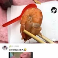 这是一张竖屏的社交媒体截图，画面主体是一只被筷子夹起的虾，虾的姿态仿佛是被控制住的人，下方配有用户评论“被虾到住的渔民😅”，巧妙利用“虾”与“吓”的谐音制造搞笑梗，调侃出一种渔民被“虾”（吓）到的趣味场景，风格轻松诙谐。