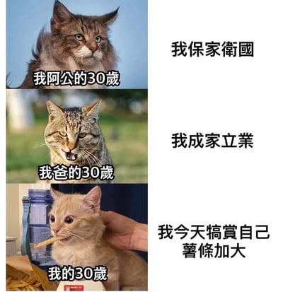 这张梗图通过三只不同风格的猫咪，模仿不同年代人在30岁时的状态对比。左侧从上到下分别配文“我阿公的30岁”，“我爸的30岁”，“我的30岁”；右侧分别配文“我保家卫国”、“我成家立业”、“我今天犒赏自己薯条加大”。展现了时代变迁中，三十岁的责任和生活状态变化。最后一只猫咪正在开心地吃薯条，搞笑对比为网络常见“代际落差”梗。并带有自嘲意味，暗示现代人生活压力变化和目标的转变。