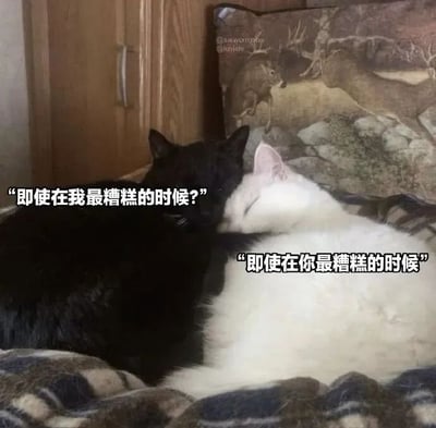 图片中两只猫咪依偎在一起，左侧是黑猫，右侧是白猫，它们躺在带有格子图案的毯子上。背景可见木质柜子和印有鹿与自然景观图案的枕头。黑猫头部靠近白猫，配有对白文字：“即使在我最糟糕的时候?”，白猫则回应：“即使在你最糟糕的时候”。整体画面温馨治愈，展现出猫咪间相互陪伴的温暖场景。