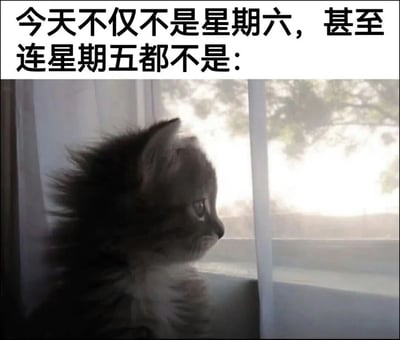 图片上方是黑色粗体文字'今天不仅不是星期六，甚至连星期五都不是：'，下方是一只毛茸茸的小猫侧身坐在窗边，眼神望向窗外，表情显得有些忧郁和失落，整体营造出对周末的期待落空、面对工作日的无奈情绪。