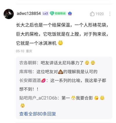 社交媒体用户adwc128854（Lv.1初级粉丝）发布的搞笑帖子，内容以幽默比喻描述：“长大之后也是一个给屎保温，一个人形裱花袋，巨大的屎枪，它吃饭就是在上膛，对于狗来说，它就是一个冰淇淋机 😊”。帖子获得1920个点赞，发布于05-10重庆。下方显示部分评论，如“吧友讲话太尼玛暴力了”“这位吧友对💩的理解我是认可的”等，共有80条回复。整体为论坛评论区截图，充满网络吐槽风格。