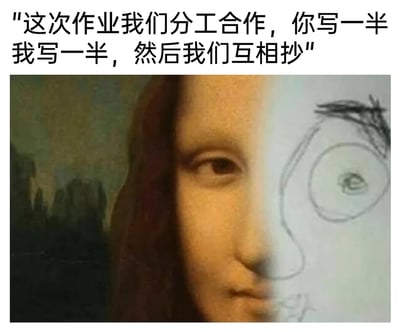 这是一张用于调侃学生应付作业行为的搞笑梗图，图片上方配有文字“这次作业我们分工合作，你写一半我写一半，然后我们互相抄”，画面主体采用左右拼接的形式：左半部分是文艺复兴时期画家达芬奇的经典油画《蒙娜丽莎》的半张脸，保留了原作精致细腻的画风和蒙娜丽莎的神秘微笑；右半部分则是一幅画风粗糙、线条简陋的手绘半张人脸，两者形成强烈的视觉反差。梗图通过这种反差，夸张地表现出“分工合作抄作业”的结果——看似分工，实则最后拼凑出的成品质量参差不齐，精准戳中校园里学生为了偷懒应付作业的真实心态，充满幽默讽刺的趣味性。