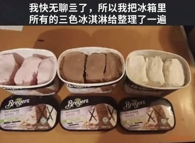 这是一张搞笑整活实拍图，顶部配有文字“我快无聊亖了（谐音无聊死了，是网络常用的谐音写法），所以我把冰箱里所有的三色冰淇淋给整理了一遍”，画面下方摆放着三盒Breyers品牌的冰淇淋，原本每盒中包含的三种不同颜色口味的冰淇淋被发布者全部分开分装，三盒分别只盛放粉色、巧克力色、奶白色的同色冰淇淋，对应的冰淇淋盒盖上原本标注的另外两种口味也被手动打叉标注，用这种离谱且没有实际意义的行为，夸张地展现出闲到极致的状态，充满笑点。