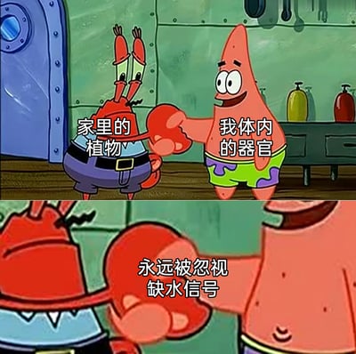 这是一张改编自动画《海绵宝宝》的上下分栏连环梗图，上图中蟹老板被标注为“家里的植物”，派大星被标注为“我体内的器官”，二者正握手；下图中派大星抓住蟹老板的钳子，配文“永远被忽视缺水信号”。该图用幽默的类比方式，调侃了人们在生活中常常忽略家里植物的缺水需求，同时也会忽视自身身体发出的缺水信号，没能及时给植物浇水、给自己补水的普遍现状。