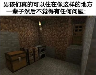 这张梗图采用上配文下图的顶配底文结构，顶部文字为“男孩们真的可以住在像这样的地方一辈子然后不觉得有任何问题:”，下方是沙盒游戏《我的世界》中的新手简易地下居所截图：狭小的空间内墙面由土块堆砌，仅靠一根火把提供照明，屋内仅摆放了储物箱、工作台、熔炉三个满足基础生存和游戏需求的道具，没有任何额外的装饰。整图调侃大部分男性对于居住环境的要求极低，只要能满足基础使用功能，就可以长期居住，完全不在意环境的舒适度和美观度。