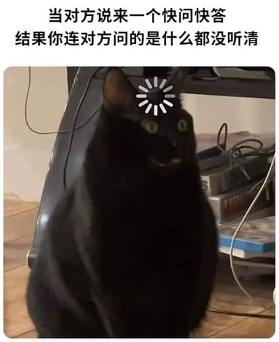 一张搞笑猫咪梗图，上方配有文字“当对方说来一个快问快答 结果你连对方问的是什么都没听清”。图片主体是一只表情困惑的黑猫，其头顶被编辑添加了一个加载中旋转图标，幽默地表现了当别人突然提问而自己没听清时的懵逼状态。