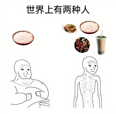 这张梗图通过对比展示了"世界上有两种人"的幽默概念。左侧是一个只吃一碗白米饭却体型肥胖的卡通人物，右侧是一个享用丰富食物(炒菜、烤串、珍珠奶茶配米饭)却体型极瘦的卡通人物，形成鲜明有趣的反差。