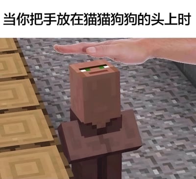 这张梗图展示了一个像素风格的《我的世界》村民角色，正被一只人类的手抚摸头部。村民有着典型的方块状头部和绿色眼睛，表情看起来十分满足。图片上方配有文字"当你把手放在猫猫狗狗的头上时"，通过将游戏角色拟人化，幽默地表现了宠物被抚摸时的满足感，创造出一种可爱又有趣的对比效果。