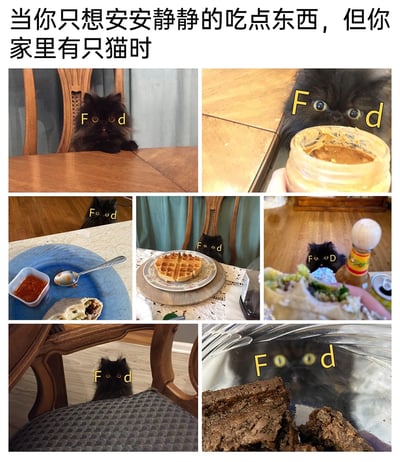 这是一组由7张实拍照片拼接而成的连环趣味图，顶部配有文字“当你只想安安静静的吃点东西，但你家里有只猫时”。图中的黑色长毛猫咪在主人享用不同食物的各个场景中，始终用专注又渴望的眼神紧盯食物，创作者将英文单词“Food”拆分成“F”“o”“o”“d”，分别标注在猫咪的双眼和鼻子位置，生动地表现出猫咪眼里只有食物的状态。主人的食物涵盖花生酱、带蘸料的卷饼、华夫饼、夹馅餐食等，猫咪则变换不同位置：趴在餐桌边缘、躲在椅子后方、蹲在地板上，全程紧盯食物，每一个场景都充满了养猫人的真实日常趣味，极易引发养宠群体的共鸣。