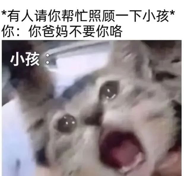 网络搞笑表情包