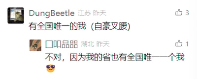 这是一张社交媒体评论区的截图，呈现了两位网友的趣味互动。来自江苏的用户DungBeetle发布评论，以“有全国唯一的我（自豪叉腰）”来强调自身的独特性，该评论收获3个点赞；随后来自湖北的用户口叩品器以巧妙的逻辑回应：“不对，因为我的省也有全国唯一一个我”，还附带了一个墨镜表情，既回应了前者的说法，又延续了“独特性”的话题，这段对话充满幽默趣味，用轻松的方式点明每个人都是独一无二的个体，该回复收获1个点赞。