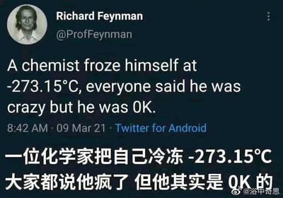 这是一张Twitter（现X平台）的界面截图，模拟著名物理学家理查德·费曼的账号（@ProfFeynman）发布了一则结合科学知识的双关笑话。内容为英文“A chemist froze himself at -273.15℃, everyone said he was crazy but he was OK.”，下方配有对应的中文翻译。这个笑话的趣味点在于利用热力学知识玩文字游戏：-273.15℃是热力学中的绝对零度，对应热力学温度单位开尔文的0K，“OK”在英文中既表示“状态良好、没事”，又谐音“0K”，从而形成双关效果，让严肃的科学概念变得诙谐有趣。截图右下角带有微博用户“@浴中奇思”的水印，说明该截图由该微博用户分享。