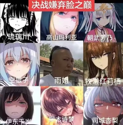 这是一张九宫格拼接形式的玩梗图，顶部有红底白字的标题“决战嫌弃脸之巅”，九宫格内一共收录了9个都呈现出鄙夷、嫌弃神态的人物：其中8位是出自不同ACG作品的二次元女性角色，中心位置是因嫌弃表情走红的真人网络红人雨姐，所有人物的表情都带有明显的不屑感，整体用于调侃对人或事物极度嫌弃、不满的情绪。