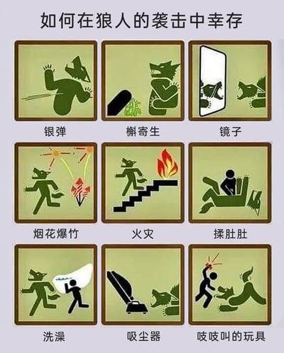 这是一张采用九宫格布局的卡通风格趣味指南图，标题为“如何在狼人的袭击中幸存”。每个格子都以图标搭配文字标注的形式，展示了一种应对狼人的方式：1. 银弹：用银弹射击狼人；2. 槲寄生：以槲寄生威慑狼人；3. 镜子：用镜子照射狼人，使其看到自身样貌；4. 烟花爆竹：借助烟花爆竹的声光效果驱赶狼人；5. 火灾：利用火焰的高温逼退狼人；6. 揉肚肚：坐在狼人肚子上揉动，让其失去攻击性；7. 洗澡：用水泼向狼人；8. 吸尘器：用吸尘器来吸狼人；9. 吱吱叫的玩具：用带尖刺的吱吱叫玩具扎狼人。整体画面模仿了应急安全标识的画风，既结合了西方狼人传说中的经典弱点，又加入了多个无厘头的搞笑方法，充满趣味性与创意。