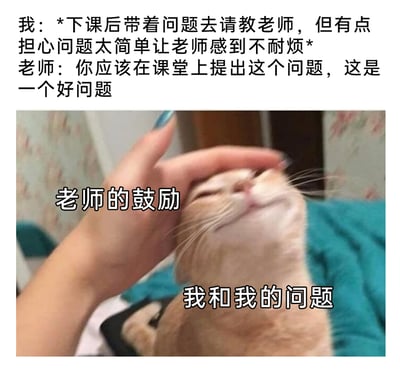 这是一张图文结合的趣味表情包，上方用文字构建了校园里的师生互动场景：学生带着问题在课后请教老师，内心因担心问题过于简单会让老师不耐烦而忐忑，老师却给出了正面肯定，称这是个好问题，应该在课堂上提出。下方的实拍图片中，一只橘猫被手抚摸头部，露出一脸享受、放松的神态，图片分别用文字标注“老师的鼓励”（指代抚摸的手）和“我和我的问题”（指代橘猫），精准地将学生得到老师认可后，从忐忑不安转为安心愉悦的心情具象化，生动又治愈，容易引发学生群体的共鸣。