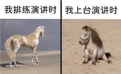 图片为左右对比结构，左侧上方文字为“我排练演讲时”，下方是一匹姿态优雅的白色骏马，昂首站立在沙地上，鬃毛和尾巴飘逸，显得自信从容；右侧上方文字为“我上台演讲时”，下方是一匹毛发杂乱的马，瘫坐在沙地上，眼神涣散，姿态狼狈。通过两匹马的状态对比，幽默地展现了人们在排练时的自信与上台实际演讲时的紧张焦虑之间的巨大反差。