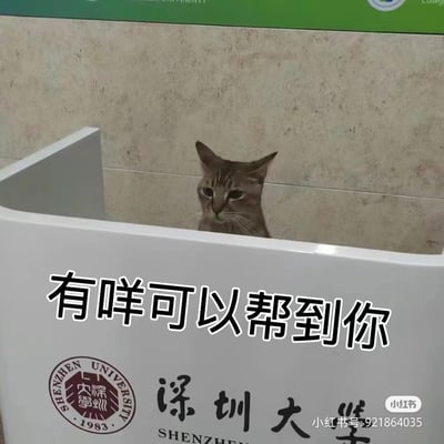 这张图拍摄于深圳大学的前台区域，一只狸花猫躲在前台柜台后方，只露出头部和上半身，表情淡定略带严肃。图上添加了粤语文字“有咩可以帮到你”，将猫咪拟人化，模仿前台工作人员接待访客的场景，营造出趣味搞笑的效果，适合用来调侃或模拟接待的语境。