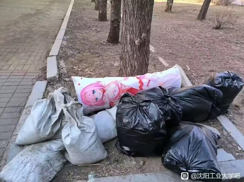 五等分的花嫁