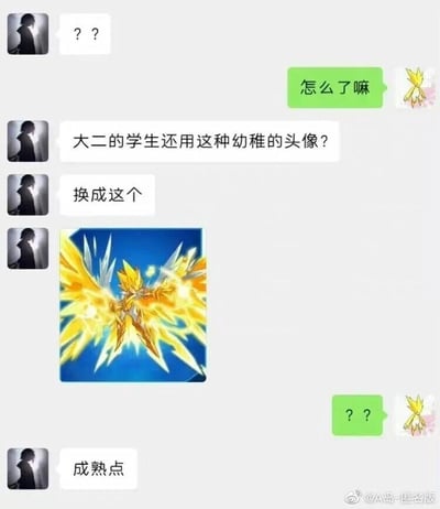 这是一段微信风格的聊天记录截图，对话双方分别使用深色剪影头像和《赛尔号》中小雷伊的头像。深色剪影头像的用户先发“？？”开启对话，小雷伊头像的用户询问“怎么了嘛”，随后前者指责对方“大二的学生还用这种幼稚的头像？”，接着发送了一张《赛尔号》中雷伊的进化形态——雷神雷伊的图片，要求对方“换成这个”，还补充让对方“成熟点”，小雷伊头像的用户则回复“？？”，表现出明显的疑惑。这段对话的笑点在于，前者认为小雷伊头像幼稚，却推荐了同角色的进化形态，本质上依然是同一款游戏的卡通角色，并没有真正“成熟”，这种自相矛盾的行为形成了搞笑的反差效果。