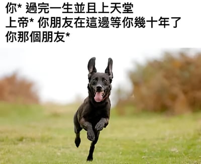 图片上方是三段对话式文字，分别为‘你* 過完一生並且上天堂’、‘上帝* 你朋友在這邊等你幾十年了’、‘你那個朋友*’，下方是一只黑色狗狗在绿色草地上欢快奔跑的照片，狗狗耳朵竖起，舌头吐出，表情开心。图片通过文字暗示‘你那個朋友’是指生前陪伴主人的狗狗，当主人离世后来到天堂，会发现早已去世的狗狗已等待数十年，传递出宠物与主人间深厚的情感羁绊和温暖的重逢想象。