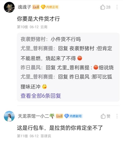 这是一张论坛评论区的截图，楼主魂魂子留言“你要是大件货才行”，引发其他网友互动回复：有人问“小件货不行吗”，接着大家围绕“不能易燃物品”展开擦边玩梗，提到“烧起来了不得”“比狐狸味还冲”，还有用户补充“这是行包车，是拉货的你肯定坐不了”，整个对话充满低俗擦边的玩笑趣味。
**玩梗说明**：对话里的“易燃”“烧起来”是用货运物品要求做隐喻的擦边梗，暗示低俗内容，属于网友间的趣味调侃。