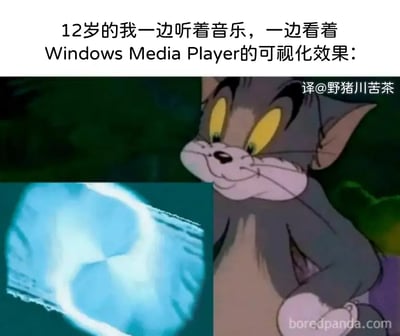 这张梗图描述了当年还在使用Windows Media Player的12岁小孩，沉迷于音乐可视化特效的情景。上半部分是文字说明，下半部分为《猫和老鼠》中汤姆盯着炫酷亮光，仿佛被视觉特效吸引得目不转睛。图中强调90、00后一代小时候被电脑多媒体功能吸引的童年回忆。幽默基于对比和共鸣，适合用来自嘲或怀旧。

没有谐音梗、双关语，但图像和文本形成有趣的反差，汤姆表情体现"小孩的新奇与着迷"。