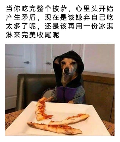 这是一张趣味搞笑的图文梗图，上方配有文案“当你吃完整个披萨，心里头开始产生矛盾，现在是该嫌弃自己吃太多了呢，还是该再用一份冰淇淋来完美收尾呢”，图中是一只被拟人化的狗狗，它穿着连帽外套坐在餐桌的椅子上，面前白色盘子里只剩披萨的饼边，狗狗的表情纠结又带着心虚感，生动还原了人们在吃完大量美食后，一边愧疚吃太多，一边又想继续享受美食的矛盾心理，用可爱的动物形象放大了这种日常的小纠结，十分贴近生活。