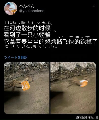 推特用户在河边散步时，偶然拍到一只小螃蟹用钳子紧紧夹着麦当劳的烧烤酱小盒子，在泥地上飞快地跑开，画面巧合又搞笑，仿佛这只小螃蟹是“偷”到了心仪酱料的小馋鬼，配上文字描述后，让这个意外的趣味场景更具戏剧性。