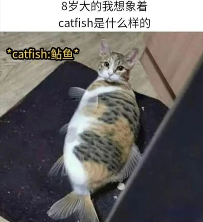 图片上方文字写着'8岁大的我想象着 catfish是什么样的'，并标注'*catfish:鲇鱼*'。主体画面是一只猫的头部与鱼的身体合成的形象，猫脸表情平静，身体呈现鱼的形态（带有鱼鳞和鱼鳍），躺在深色的平面上。这张图通过将'catfish'拆分为'cat'（猫）和'fish'（鱼）进行字面联想，幽默地表现了儿童对英文单词的天真误解。