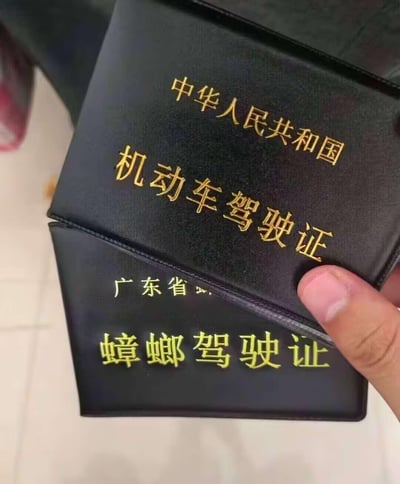 这张图将真实的中华人民共和国机动车驾驶证套与自制的“广东省 蟑螂驾驶证”套叠放，通过错位呈现出搞笑效果。创作者结合广东地区蟑螂数量多、“打不死的小强”的地域特色梗，把驾驶证恶搞成“蟑螂驾驶证”，以此调侃广东蟑螂的“超强存在感”，属于趣味恶搞的创作内容，充满了接地气的幽默感。
