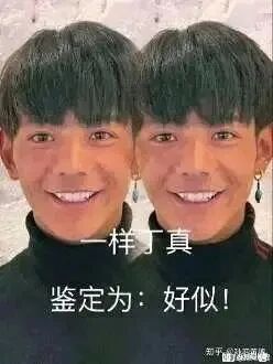 这是一张网友创作的P图改编梗图，采用左右拼接的形式，将网红丁真的照片复制为两个相同的形象并排展示，图中人物面带微笑，穿着黑色高领上衣，佩戴特色耳饰，正面看向镜头。图中添加文字“一样丁真 鉴定为：好似！”，其中“好似”是网络谐音梗，谐音“好死”，属于调侃性质的网络用语，整体是一张用来传播网络热梗的趣味图片。