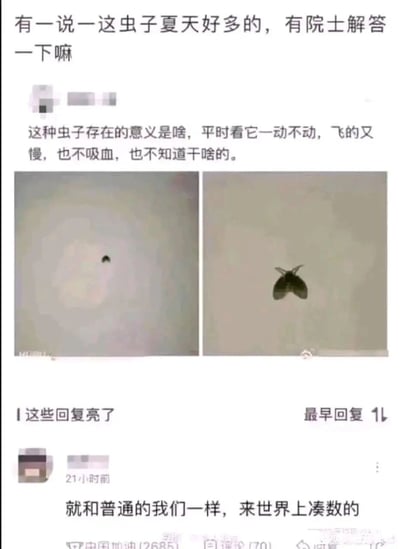 这是一张来自国内社交平台的互动截图，上方是一位网友的提问：表示夏天常见图中的蛾蠓，疑惑这种虫子既不吸血、行动迟缓又看似无所事事，询问其存在的意义，同时附上了两张蛾蠓的实拍照片；下方标注“这些回复亮了”，展示了一条高赞回复，用自嘲式的幽默调侃这种虫子“就和普通的我们一样，来世界上凑数的”，以接地气的方式回应了提问，戳中不少网友的共鸣，充满趣味。