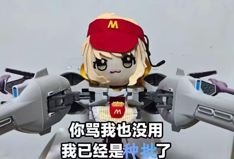 网友自制