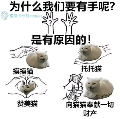 这是一张图文混排的趣味梗图，以幽默的方式调侃猫奴群体对猫咪的宠溺。顶部用文字抛出问题“为什么我们要有手呢？是有原因的！”，下方分为四个板块展示手的“专属用途”：第一板块是手绘的抚摸动作搭配文字“摸摸猫”，第二板块是手绘的托举动作搭配文字“托托猫”，第三板块是手绘的比心动作框住猫咪搭配文字“赞美猫”，第四板块是手绘的拿着钞票的动作搭配文字“向猫猫奉献一切财产”。图中的猫咪是表情一脸享受、略带迷惑的白色猫咪，整体内容夸张地将双手的用途全部绑定在讨好、照顾猫咪上，精准戳中猫奴群体的日常，用搞笑的方式表达对猫咪的喜爱。