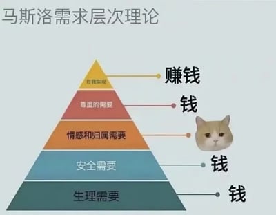 这张图片戏仿了著名的马斯洛需求层次理论金字塔，将五个需求层次用中文标注为“生理需要、安全需要、情感和归属需要、尊重的需要、自我实现”。而原本复杂的需求，用“钱”字或“赚钱”一词全部取代，暗示现实生活中无论哪一个需求，最终都离不开“钱”，非常搞笑且讽刺。此外，图片一侧配有一只表情呆萌的猫咪脸，更加增强了趣味性和可爱感。整体表达出现代年轻人对于钱的无奈和调侃。

**图中有明显的网络讽刺意味，将复杂心理理论用单一金钱概念戏谑替换，形成反差笑点。**