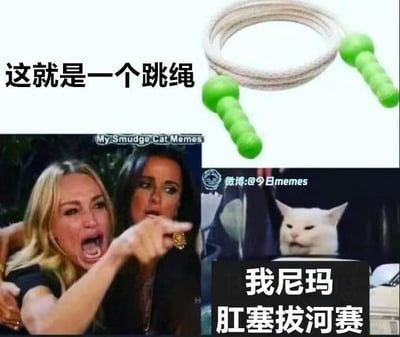 这是一张多图拼接的搞笑梗图，分为上下两个部分：上半部分展示了一个带有绿色手柄的跳绳，配文“这就是一个跳绳”；下半部分是经典的“女性对猫大喊”的梗图组合，左侧是美剧《比弗利娇妻》中愤怒大喊的泰勒·阿姆斯特朗，右侧是表情冷漠嫌弃的网红猫Smudge，猫咪旁配文“我尼玛 肛塞拔河赛”。
图中的笑点来自视觉错位：跳绳的绿色手柄外形和肛塞相似，下方的文案刻意引导误解，将普通的跳绳联想成离谱的“肛塞拔河赛”，通过这种反差感和低俗搞笑的错位联想制造喜剧效果。