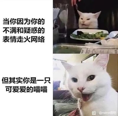 这是一张上下对比的图文混排图，采用文字加注的形式呈现趣味内容。上方图片展示了一只白色猫咪Smudge the Cat坐在餐桌前，眉头微皱、眼神带着不满与疑惑，配文“当你因为你的不满和疑惑的表情走火网络”，这是它走红网络的经典迷因形象；下方图片则是同一只猫咪，张着嘴巴，眼神无辜软萌，配文“但其实你是一只可爱爱的喵喵”，呈现出它日常可爱的一面。整张图通过猫咪两种反差极大的表情对比，制造出“反差萌”的搞笑效果，打破了大众对这只猫咪的固有走红印象，十分治愈有趣。
