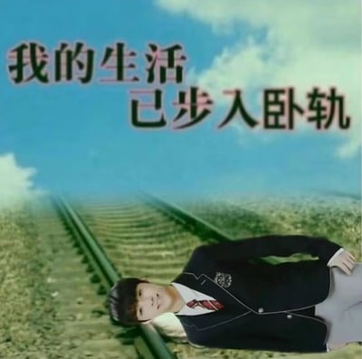 这是一张经过P图改编的静态网络梗图，画面背景是向远方延伸的铁轨，前景是被横向放置在画面下方的穿着校服的王源，图片上方配有文字“我的生活已步入卧轨”。该图利用“正轨”与“卧轨”的谐音，以夸张、戏谑的方式，表达生活不顺、陷入低谷，对现状感到无力和绝望的情绪，是年轻人用来吐槽生活困境的搞笑表情包。