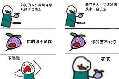 这是一张左右分栏的连环卡通梗图，通过切洋葱的场景对比养狗和养猫人群的不同心态。左侧栏：养狗的人一开始淡定表示“我切洋葱从来不会流泪”，当拟人化的洋葱说出“你的狗不爱你”后，养狗的人瞬间崩溃大哭，激动地喊出“不可能!!!”，表现出主人坚信狗狗对自己充满爱意，无法接受“狗狗不爱自己”的说法；右侧栏：养猫的人同样说“我切洋葱从来不会流泪”，当洋葱说出“你的猫不爱你”时，养猫的人却淡定回应“确实”，调侃了猫咪性格高冷独立，养猫人对“猫咪不爱自己”这件事早已习以为常的普遍认知。整幅图用强烈的反差感制造笑点，贴合大众对猫狗性格的固有印象。