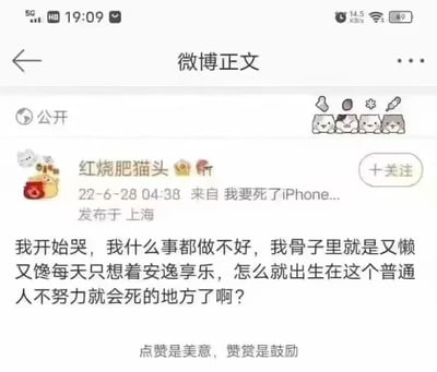 这是一张微博平台的社交媒体静态截图，展示了用户“红烧肥猫头”于2022年6月28日04:38在上海发布的一条公开微博。微博内容是用户深夜的情绪宣泄，表达了强烈的自我否定心态，称自己什么事都做不好，骨子里又懒又馋，每天只想着安逸享乐，同时感慨自己生在一个普通人不努力就难以生存的环境，字里行间充满了对自身状态的焦虑和对现实生存压力的无奈。截图顶部有“微博正文”的标识，右上角配有四个卡通小猫的表情图标，底部还有“点赞是美意，赞赏是鼓励”的平台提示文字，整体呈现出个人情绪抒发类社交媒体动态的典型样式。