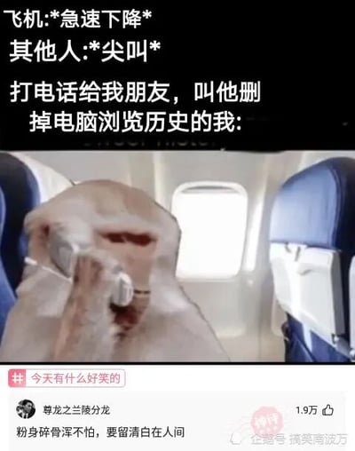 这是一张图文混排的社交媒体搞笑梗图，模拟了飞机急速下降、机上人员惊慌尖叫的紧急场景，而“我”却在此时只在意自己的电脑浏览记录，想要打电话让朋友帮忙删除，用戴着氧气面罩、表情异常平静的猴子来具象化“我”的淡定状态，与周围的恐慌形成强烈反差。评论区的高赞评论“粉身碎骨浑不怕，要留清白在人间”化用古诗，进一步玩梗调侃，将“在意浏览记录胜过生命”的自嘲氛围拉满，整体充满诙谐幽默的网络段子风格。