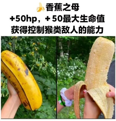 这是一张左右对比的图文混排趣味梗图，上方配有模仿角色扮演类游戏中道具属性说明的文字内容：“🍌香蕉之母 +50hp，+50最大生命值 获得控制猴类敌人的能力”。左侧画面展示了一只手握住一个体型远超普通香蕉的未剥皮巨型果实，果实外皮黄中带黑斑，外形类似香蕉；右侧画面则是两只手将这个巨型果实剥开，露出的果肉质地粗糙，和普通香蕉的细腻果肉观感差异明显。这张图结合了罕见的巨型果实照片与游戏化的搞笑属性设定，利用“猴子喜爱香蕉”的常识，设计出“控制猴类敌人”的趣味属性，制造出反差搞笑的效果，属于网络趣味创作内容。