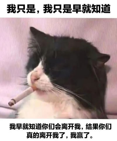 图片主体是一只黑白相间的猫，嘴里叼着一根香烟，瘫坐在粉色的背景上，表情显得冷漠又带着一丝故作镇定。图片上方配有文字“我只是，我只是早就知道”，下方文字为“我早就知道你们会离开我，结果你们真的离开我了，我赢了。”整体通过猫咪叼烟的颓废姿态和文字内容，营造出一种明明内心可能失落却偏要装作毫不在意、甚至用“我赢了”来自我调侃的矛盾情绪，带有黑色幽默的意味。
