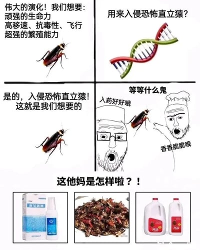 这是一张由连环漫画和实物照片拼接而成的搞笑梗图，整体围绕蟑螂的“入侵野心”与“反被人类利用”的反差展开。上半部分四格漫画：第一格展示蟑螂，配文表明蟑螂为了入侵人类（自称为“恐怖直立猿”），设定了拥有顽强生命力、高移速、抗毒性、飞行能力、超强繁殖力的进化目标；第二格以DNA双螺旋结构暗示蟑螂将通过演化达成入侵目的，配文提出疑问；第三格蟑螂再次表态要入侵人类，展现其“野心”；第四格出现卡通医生和厨师形象，医生称蟑螂“入药好好哦”，厨师称其“香香脆脆哦”，蟑螂则发出“等等什么鬼”的错愕感叹。下半部分展示三张实物图，分别是原料包含蟑螂的康复新液、油炸蟑螂成品、疑似添加蟑螂相关成分的奶制品，最后配文“这他妈是怎样啦？！”，生动表现出蟑螂发现自己不仅没入侵成功，反而被人类开发成药物、食物后的崩溃心态，通过强烈的反差制造幽默效果。