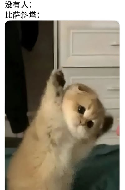 这是一张幽默梗图，上方文字为"没有人："和"比萨斜塔："，下方是一只橘猫单爪举起、身体明显向右倾斜站立的照片。图片通过拟人化手法，将猫咪的倾斜姿势幽默地比作比萨斜塔的标志性斜度，形成有趣的视觉联想。