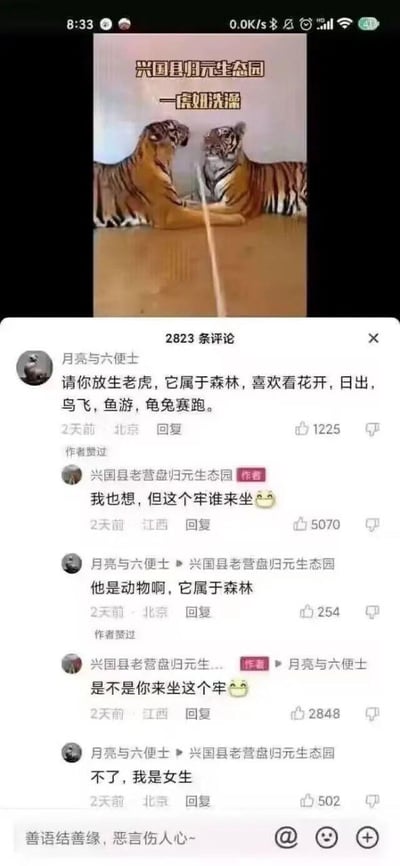 图片展示了社交媒体平台上的一段互动场景。顶部是“兴国县月元生态园”发布的内容，配图为两只老虎面对面的画面，上方文字标注“一条姐洗澡”。下方是评论区，用户“月亮与六便士”留言呼吁放生老虎，认为老虎属于森林，喜欢自然景象；生态园官方账号则以幽默口吻回复“我也想，但这个牢谁来坐”“是不是你来坐这个牢”，引发网友关注，相关评论获数千点赞。