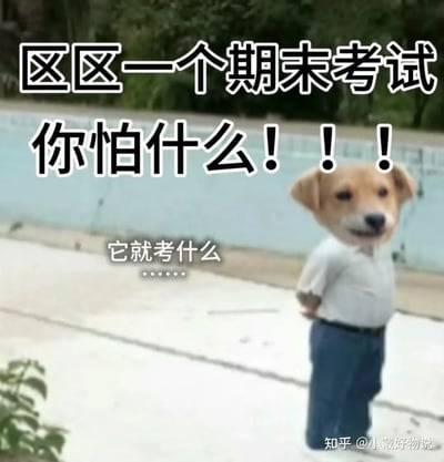 这张图片是一则幽默梗图，主画面为一个狗头人身的角色站在户外，对着观众摆出自信的姿态。图片顶端配文“区区一个期末考试你怕什么！！！”直接用放大的黑体字表达“期末考试不用怕”的主题，表现出一种轻松甚至嘲讽的态度。而人物表情自信可爱，加上搞笑的合成方式，极大增加了娱乐性。图中下方的小字回应“它就考什么……”，谐音“它就靠什么”，暗藏调侃和自嘲意味，反映出学生面临考试的无力感，但又用喜感化解压力，常见于中文互联网的“装逼狗头人”系列表情。 

双关：有一定的自嘲、讽刺色彩，也存在“靠什么”的谐音梗。
