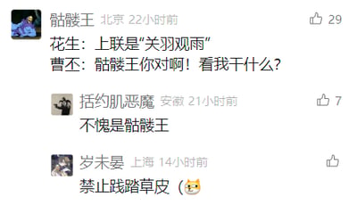 这是一张社交媒体评论区的截图，展示了一段充满趣味的谐音梗互动：用户“骷髅王”发布内容，模拟“花生”出上联“关羽观雨”，该上联中“关”与“观”同音、“羽”与“雨”同音，是典型的谐音对联；随后以“曹丕”的口吻催促“骷髅王”对出下联，这里利用“曹丕”与“草皮”的谐音制造伏笔。下方用户“括约肌恶魔”评论“不愧是骷髅王”表示认可，用户“岁未晏”则用“禁止践踏草皮”搭配猫咪表情，呼应“曹丕”的谐音梗，进一步延伸笑点，整体氛围轻松诙谐，是网络社区中常见的玩梗互动形式。